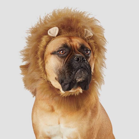 Lion Ruff Halloween Dog and Cat Costume - Hyde & EEK! Boutique™ | Target
