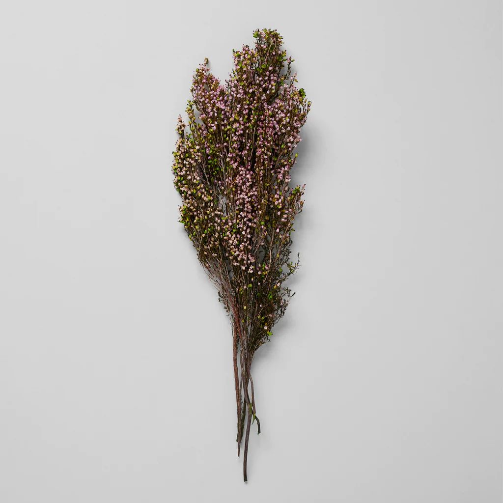 Dried Pink Heather | Bloomist