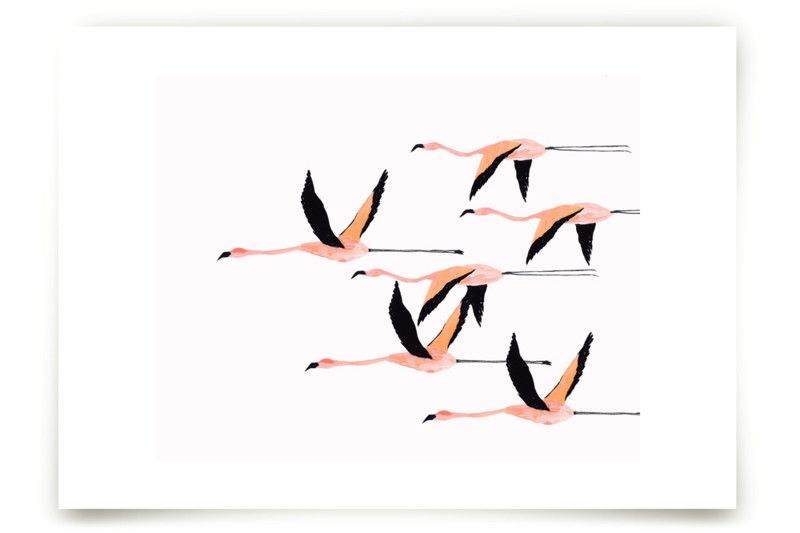 "Flyymingos" - Painting Limited Edition Art Print by Anee Shah. | Minted