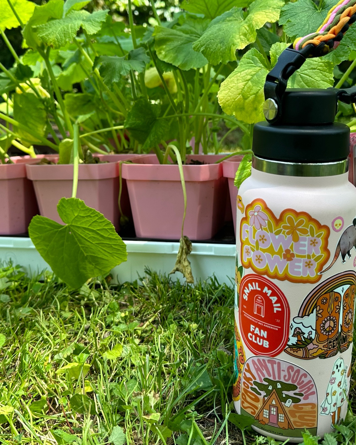 Stickers for hydroflask 🌼