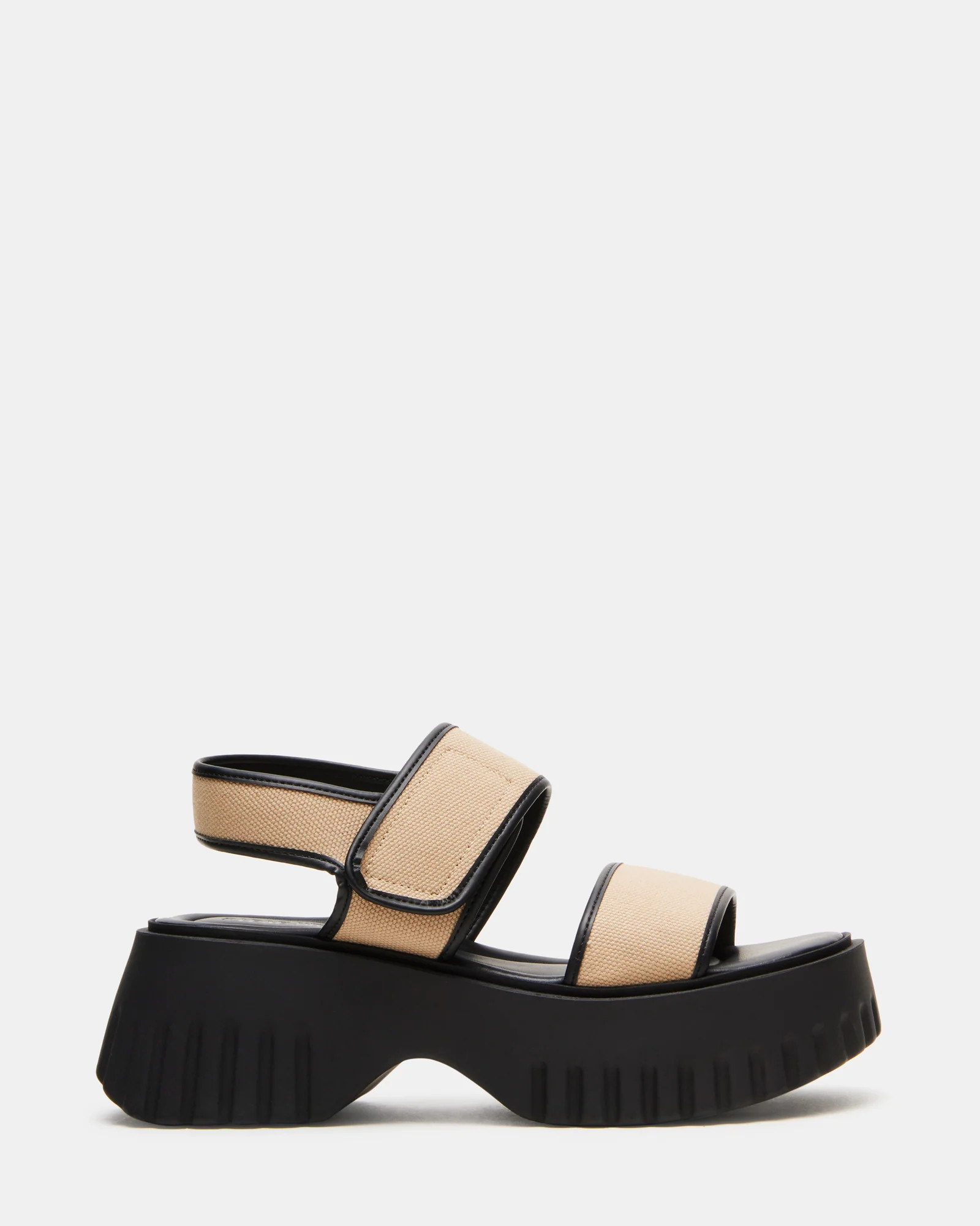 Grover Black/tan | Steve Madden (US)