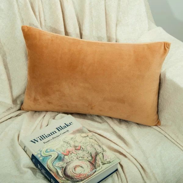 Meghan Rectangular Velvet Pillow Cover (Set of 2) | Wayfair North America