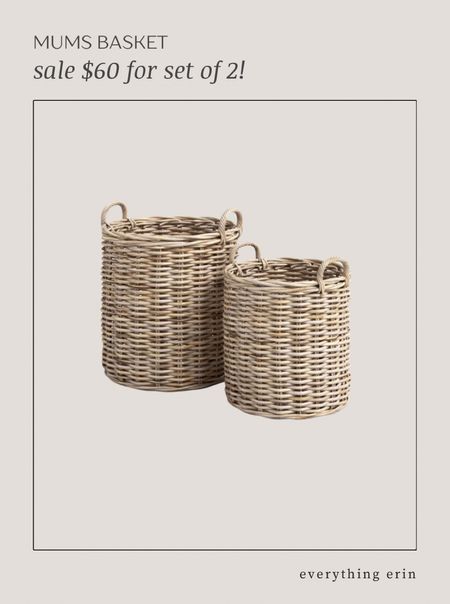 I’ve been on the hunt for a similar mums basket since mine was only available in store (and on display)- and found this great dupe - a set of 2 baskets on sale for 60$ !!!. It’s a pretty woven wood color and the handles are just as divine. My basket is 14x16 and the large one here is 12x14 so very close and should fit a standard size mum 🌸 I ordered it and will share/style to show you once it arrives this week ! Comment LINK and I’ll share or you can quickly grab it in my stories.

#LTKhome #LTKSeasonal