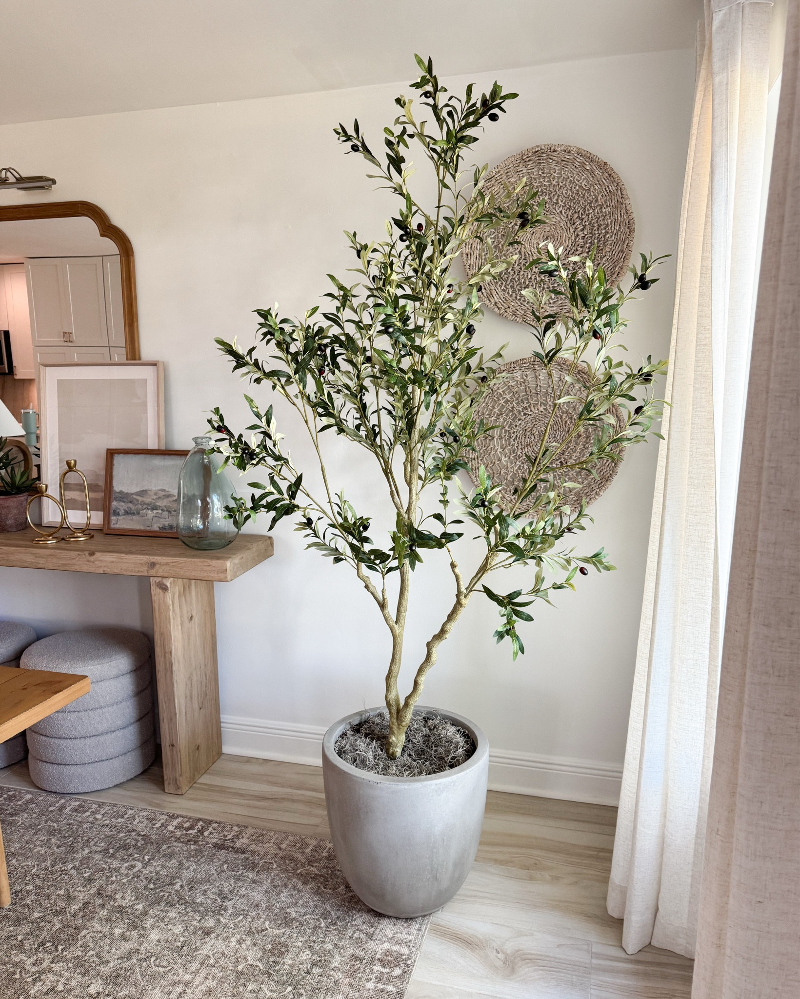 Realistic faux olive tree that actually looks real! It comes in 5 sizes too! I have the 7ft!

#LTKFindsUnder100 #LTKFindsUnder50 #LTKHome