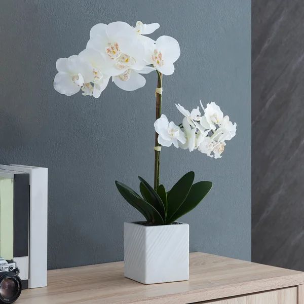 Orchid Floral Centerpiece in Pot | Wayfair Professional