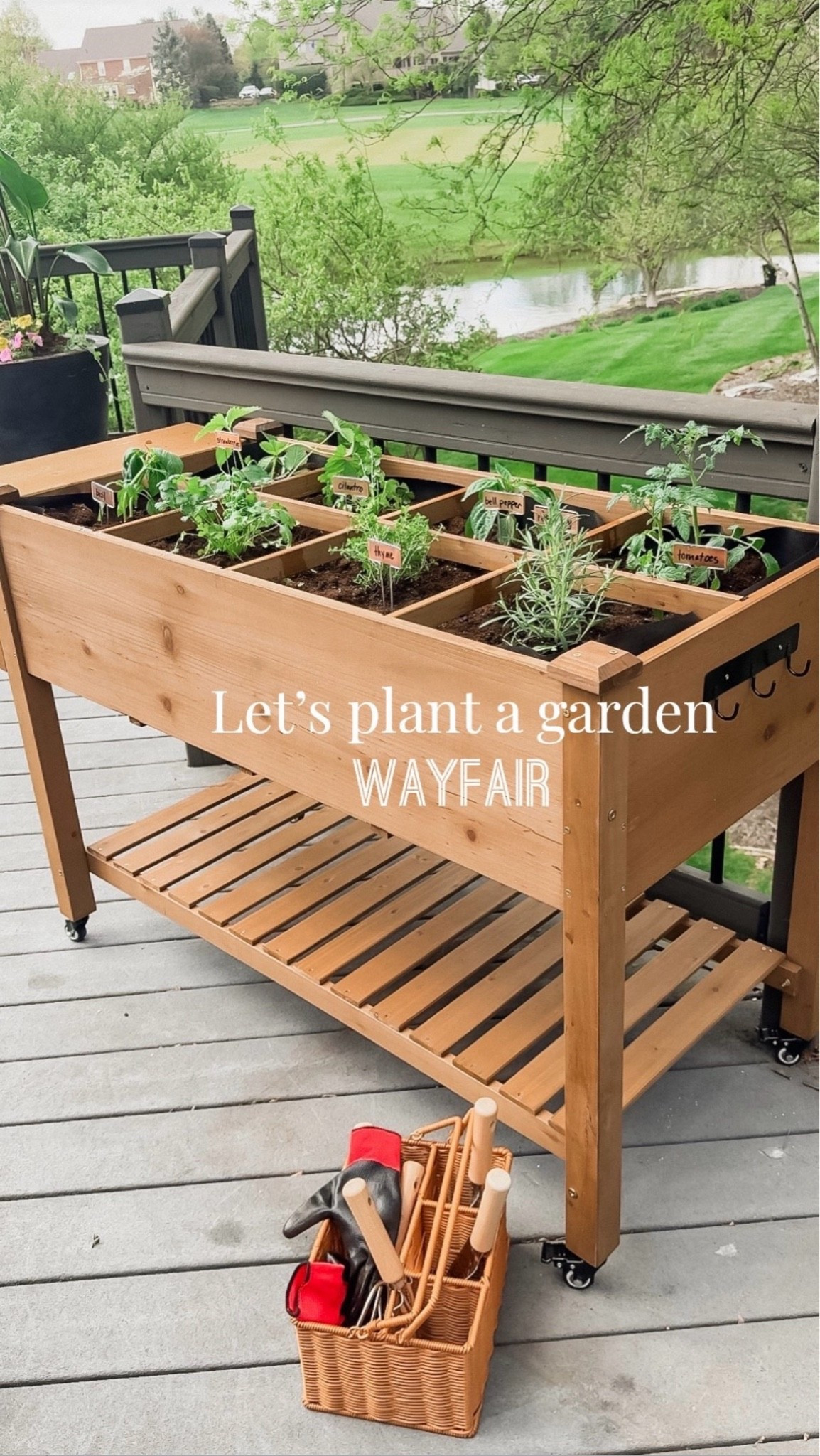 Planted an herb garden this year. The cutest planter. Grab the metal name plates too!

#LTKmomlife #LTKselfcare #LTKSeasonal