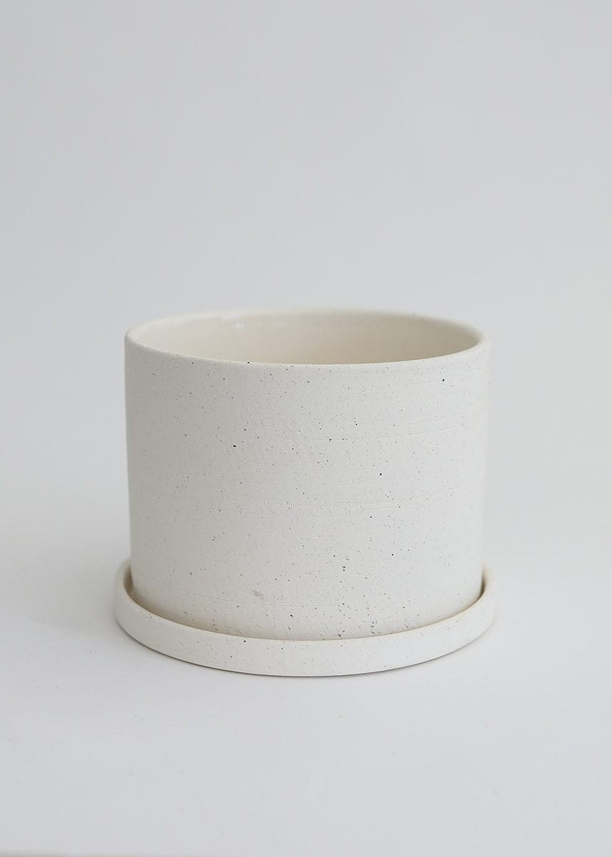 Speckled Ceramic Pot with Saucer - 5.5 | Afloral