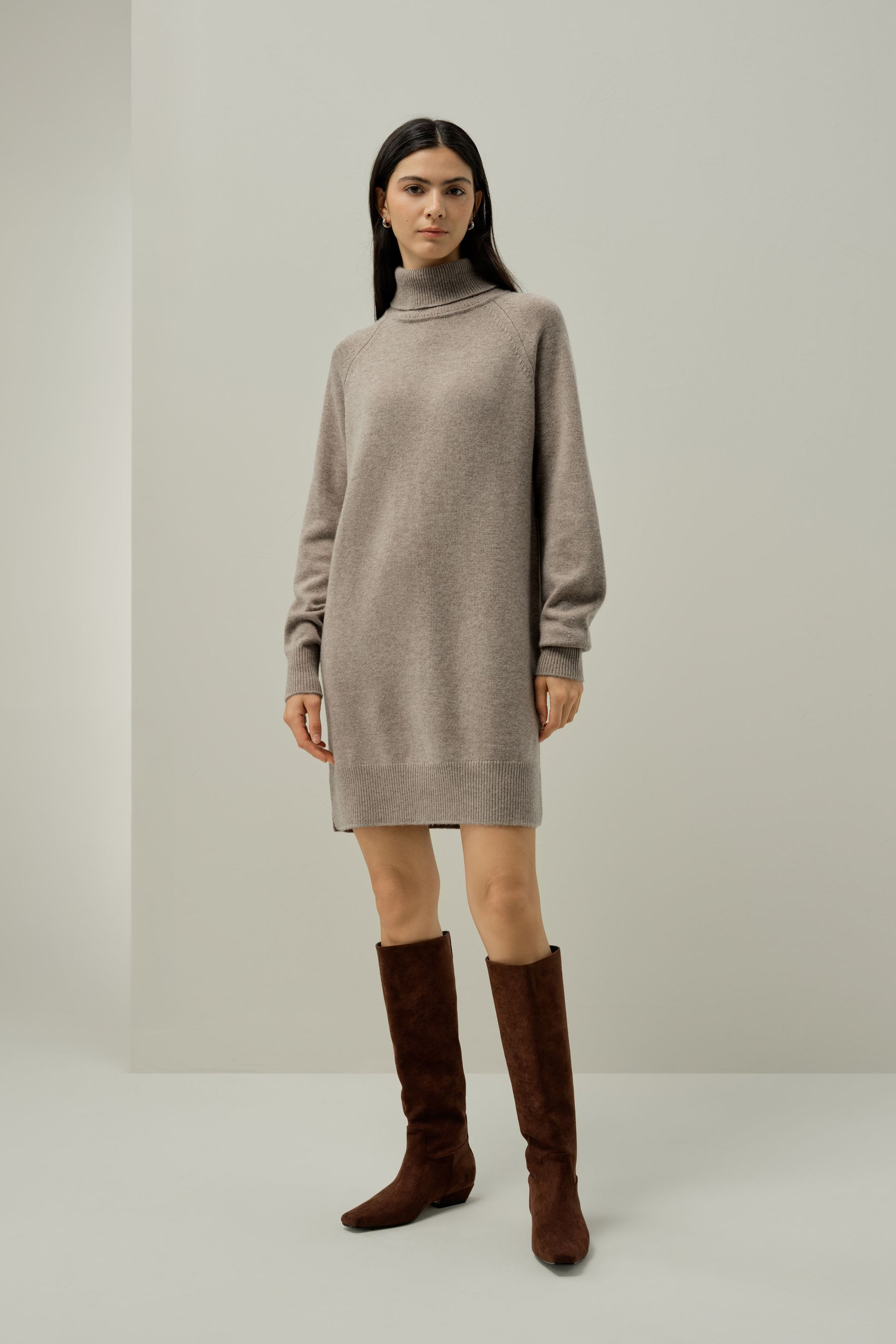 Wolle-Kaschmir Rollkragen Pulloverkleid | LILYSILK