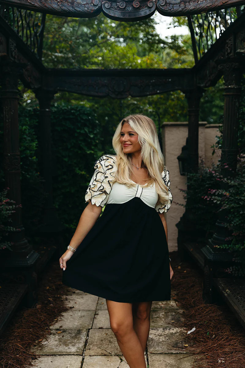 Day By Day Mini Dress - Black | Triple Threads