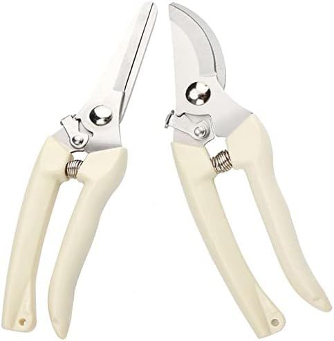 Premium pruning shears, Upgrade, Japanese pruners, garden clippers for cut flowers, rose, trees, hed | Amazon (US)