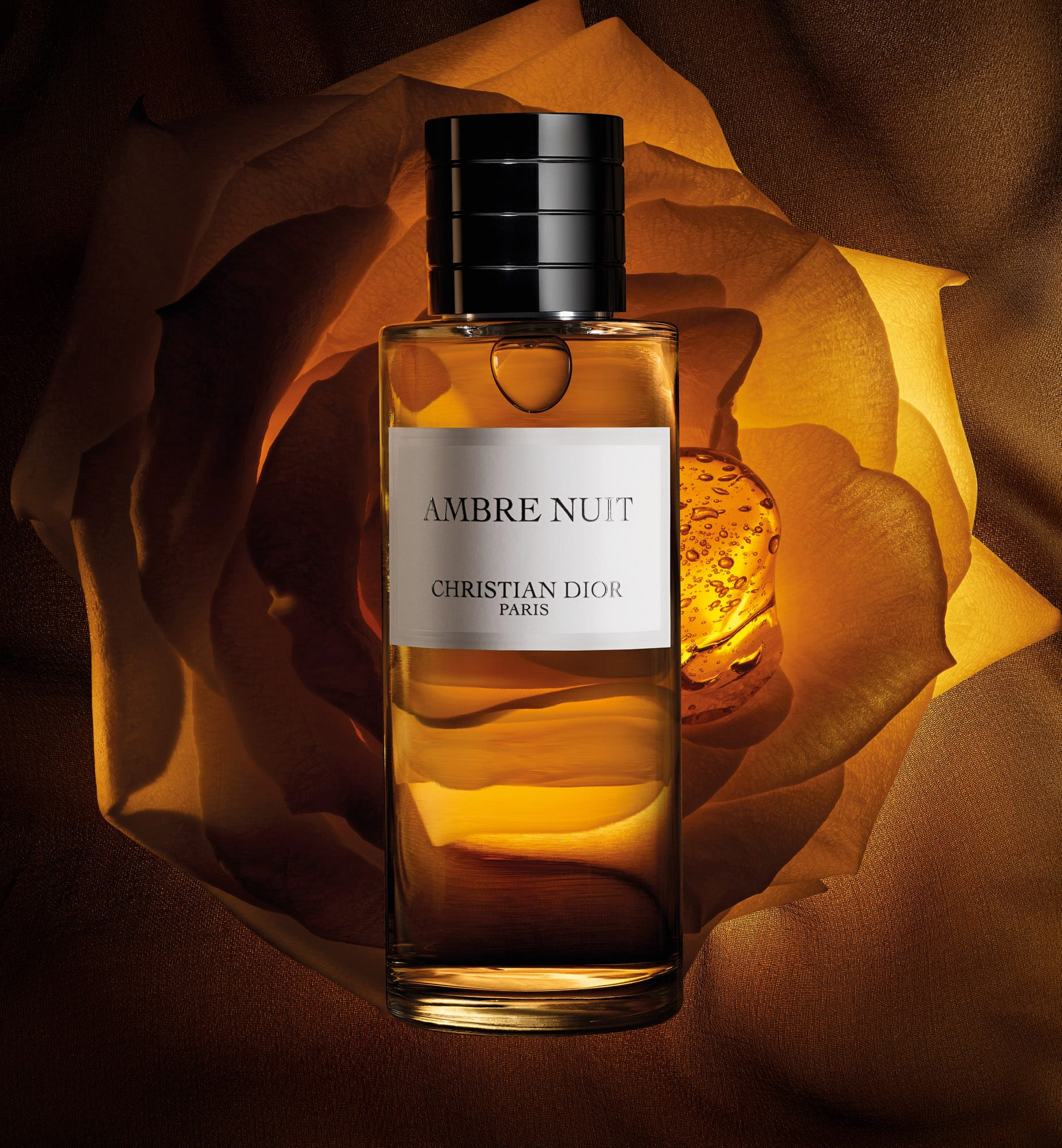 Ambre Nuit Dior perfume: the unisex amber floral fragrance | Dior Beauty (US)