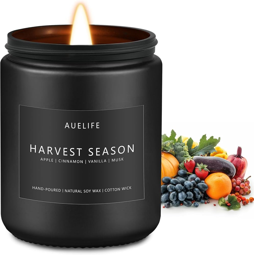 Fall Candle - Harvest Season Scented Candles, Fall Soy Candle for Home Decor, 7 oz Natural Soy Wa... | Amazon (US)