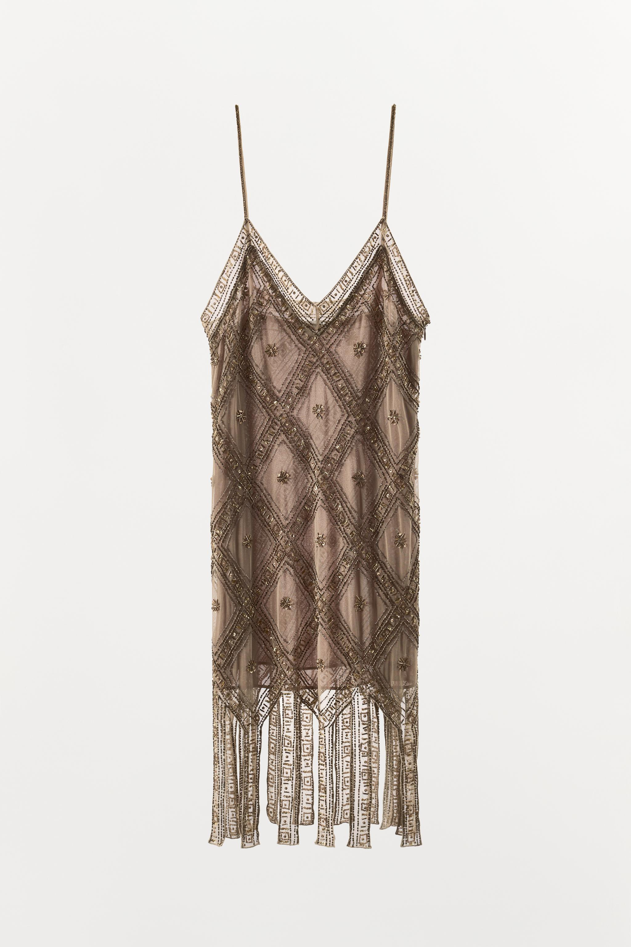 EMBROIDERED TULLE DRESS | Zara US