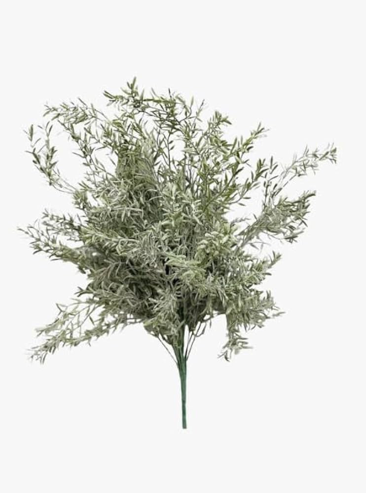 Rosemary Stem | Amazon (US)