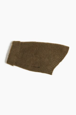 H & M - Flauschiger Hundepullover - Grün - Damen | H&M (DE, AT, CH, NL, FI)