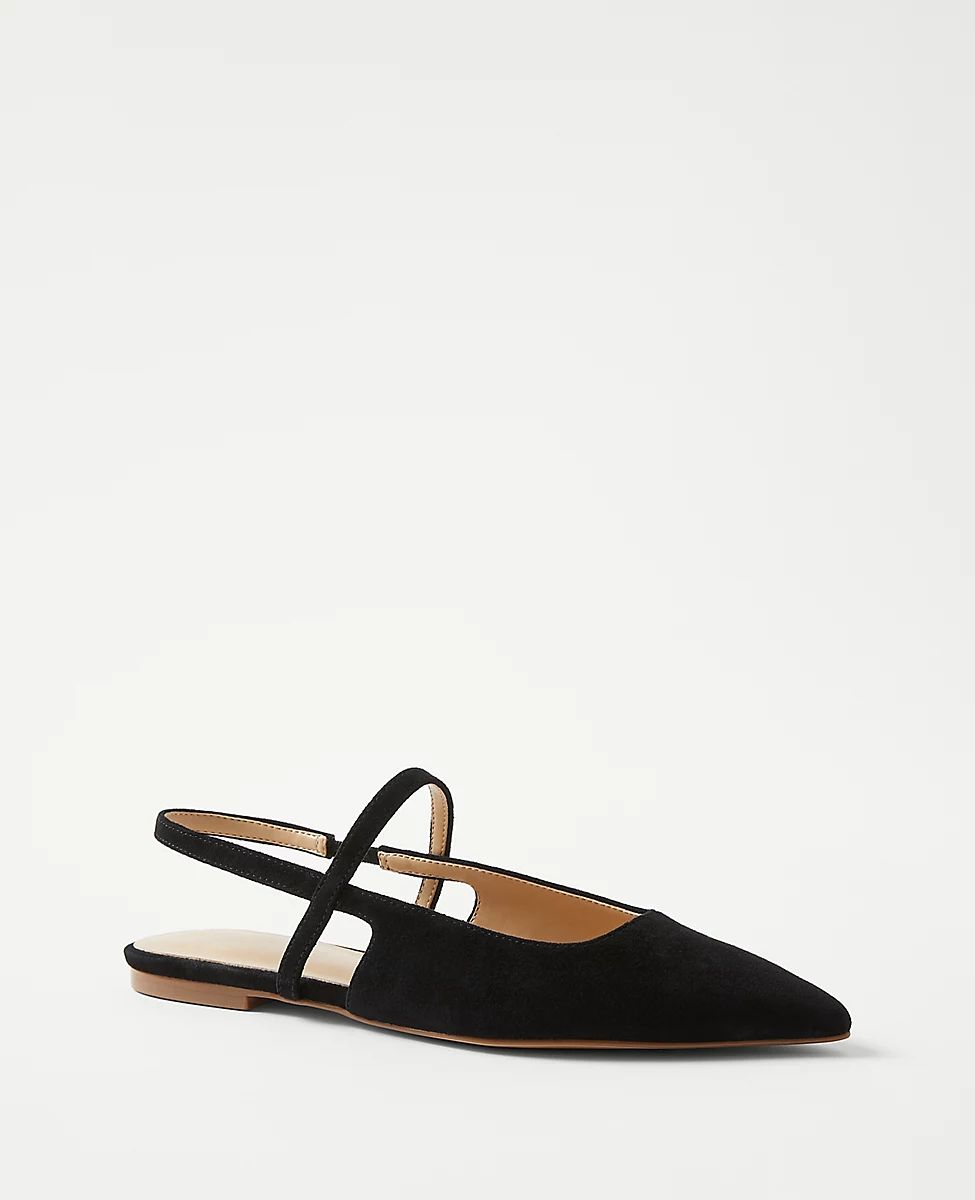 Suede Strappy Pointy Toe Flats | Ann Taylor (US)