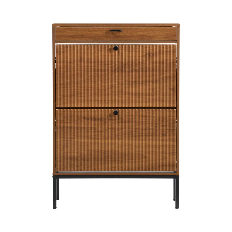 Arona Modern Minimalist Style Large Capacity Shoe Cabinet | Wayfair North America