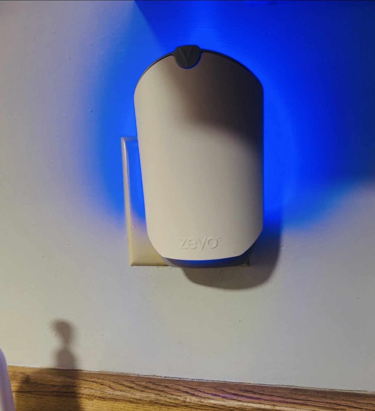 Anyone else dealing with an insane amount of flies? It’s mid-January…like what’s going on?

This things has helped SO much! 

#LTKmomlife #LTKSeasonal #LTKdayinmylife