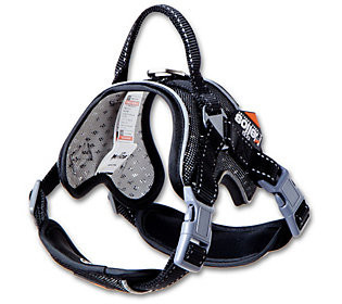 Dog Helios 'Scorpion' Sporty High-Performance D g Harness | QVC