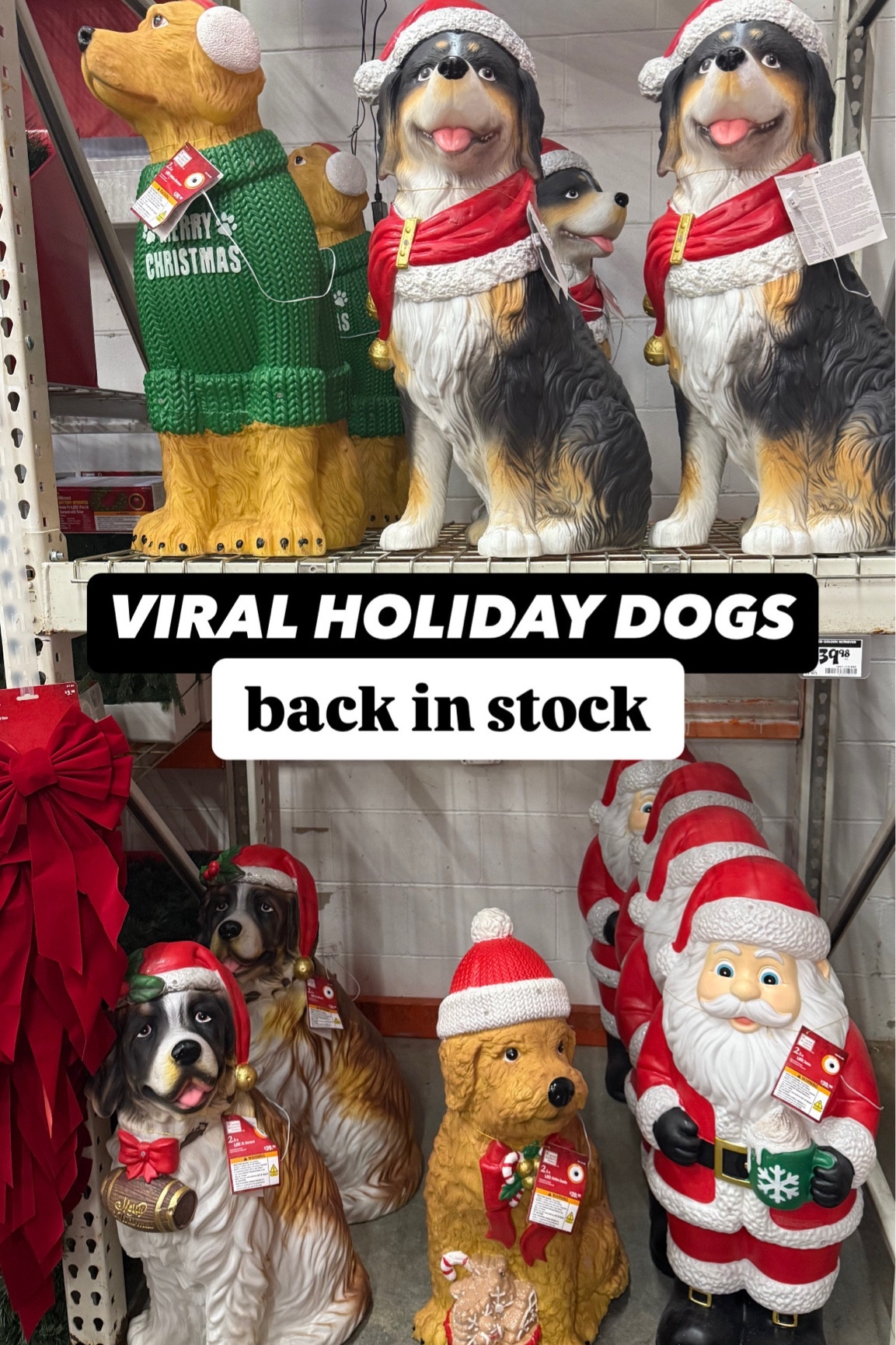 Holiday decor. Home Depot dog. Bernese mountain dog. Christmas 2024. Outdoor Christmas decor. 

#LTKSeasonal #LTKHoliday #LTKCyberWeek