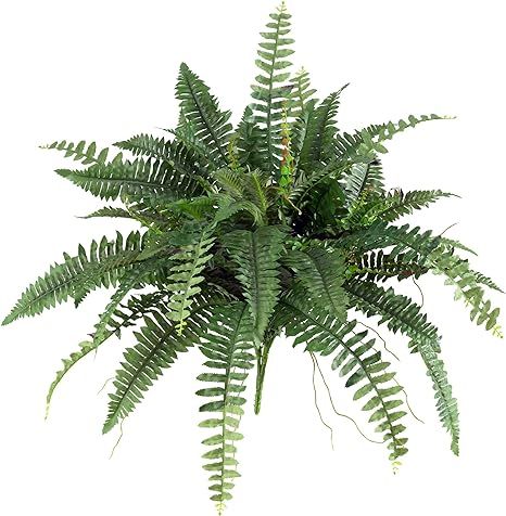 Nearly Natural 40in. Boston Fern (Set of 2), Green | Amazon (US)