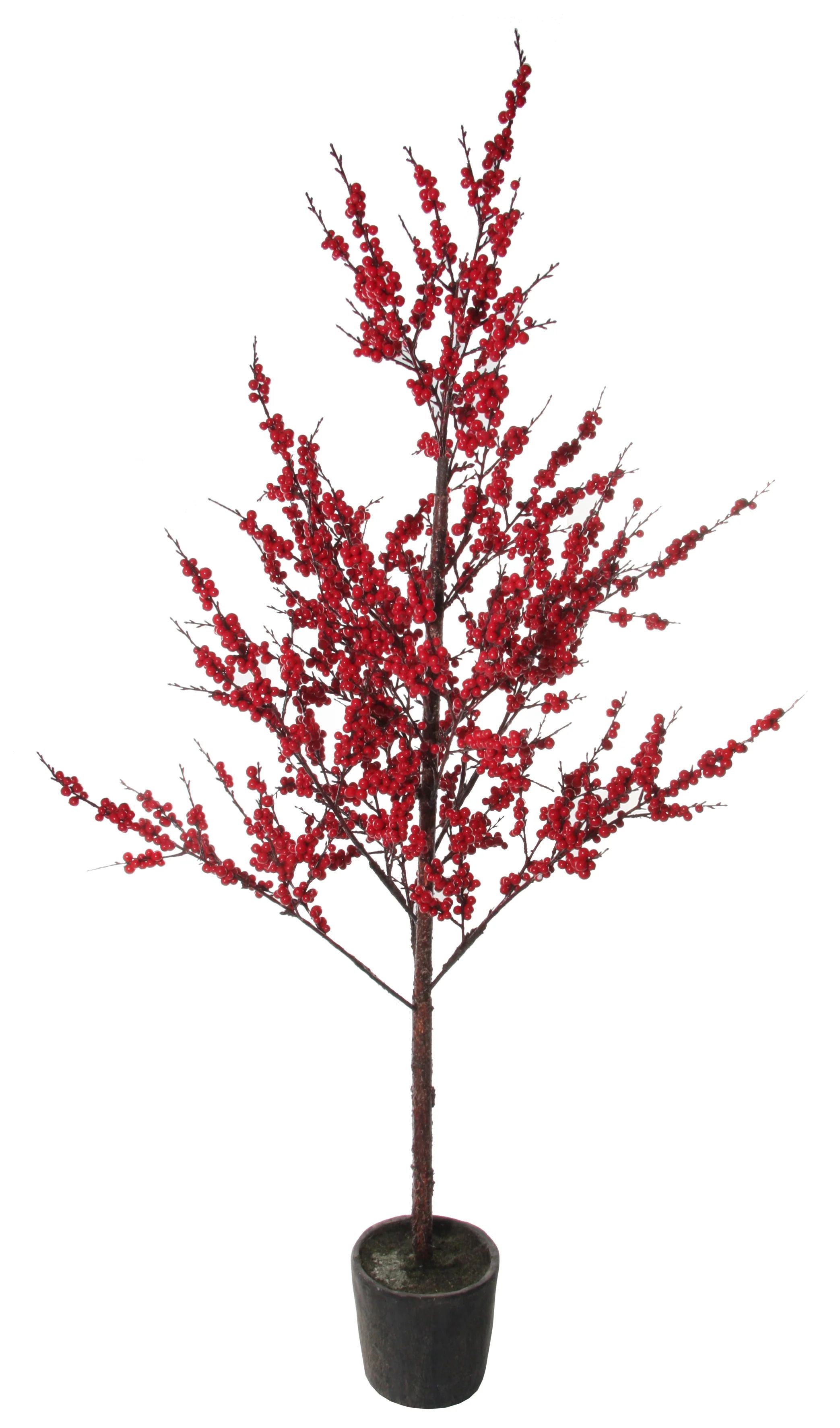 Ilex Tree Red Potted, 170cm | The Nested Fig