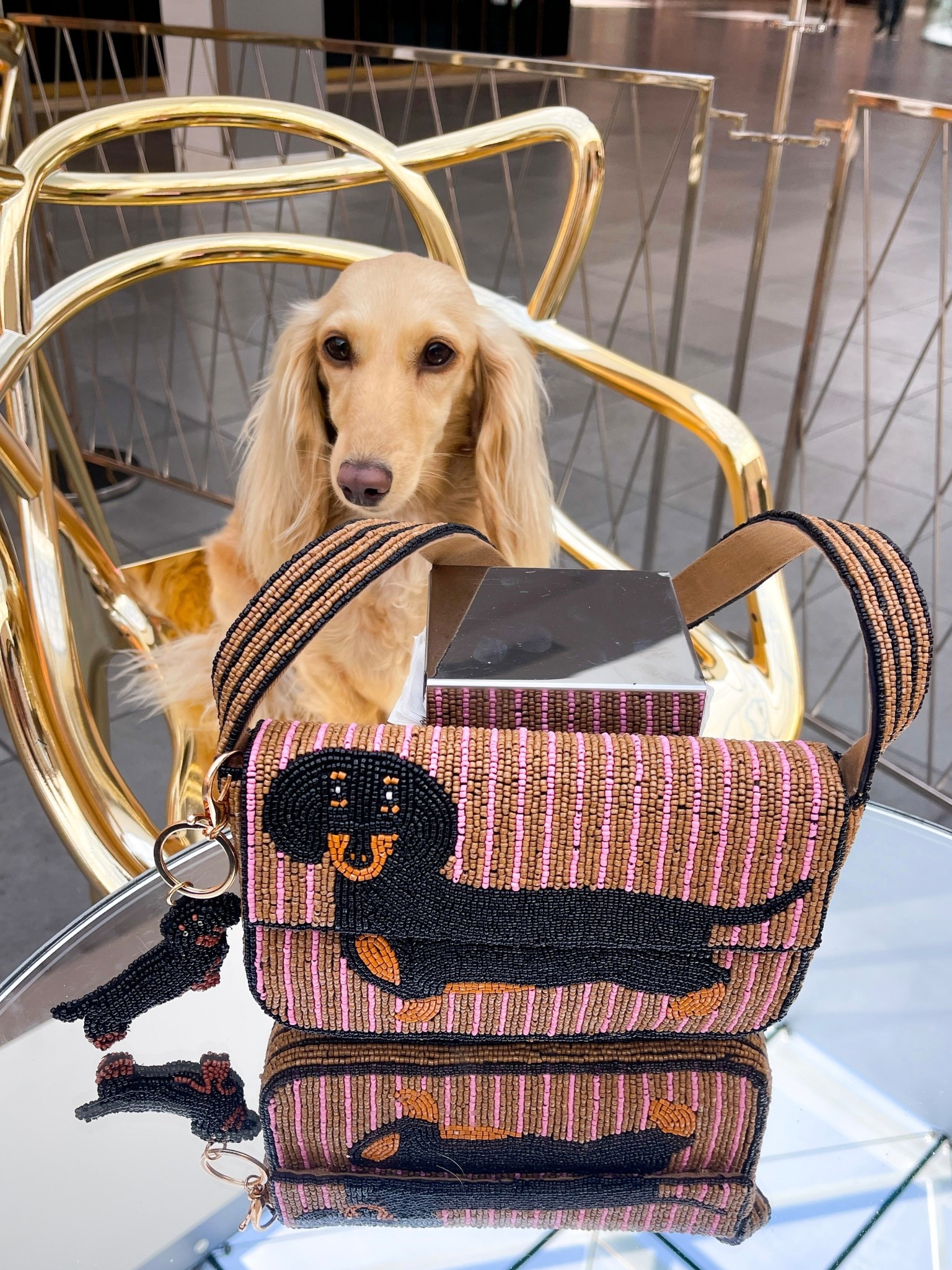 The viral Anthropologie beaded dachshund bag and matching bag charm are available online now!

These went viral online and will sell out very fast, so get one now if you want one!

.

.

.

.

.

.

.

(Anthropologie beaded dachshund bag, dachshund purse, Anthro beaded dachshund bag charm, dachshunds, dachshund finds, dachshund obsessed, dachshund lover, Anthropologie Fiona beaded bag, wiener dog finds, sausage dog bag, beaded purse, it bag, Anthropologie finds, dachshund gifts, dachshund mom, Anthropologie style, Anthropologie beaded dachshund bag, Anthropologie dachshund finds, Anthropologie Fiona beaded bag icon edition dachshund purse, Antho finds, The Fiona Beaded Bag: Animal Edition Dachshund #anthropologie #beadedbag #dachshund #dachshundbag)

#LTKItBag #LTKPets #LTKFindsUnder100