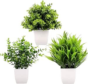GREENTIME 3Pack Mini Fake Plants in Pots,Artificial Plastic Eucalyptus Plants,Wheat Grass Potted ... | Amazon (US)
