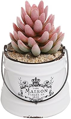 Rustic White Ceramic French Country Maison Pail Design Succulent Planter Pot/Decorative Accessory... | Amazon (US)