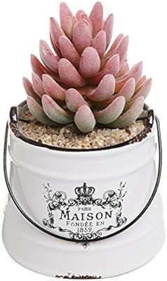 Rustic White Ceramic French Country Maison Pail Design Succulent Planter Pot/Decorative Accessory... | Amazon (US)