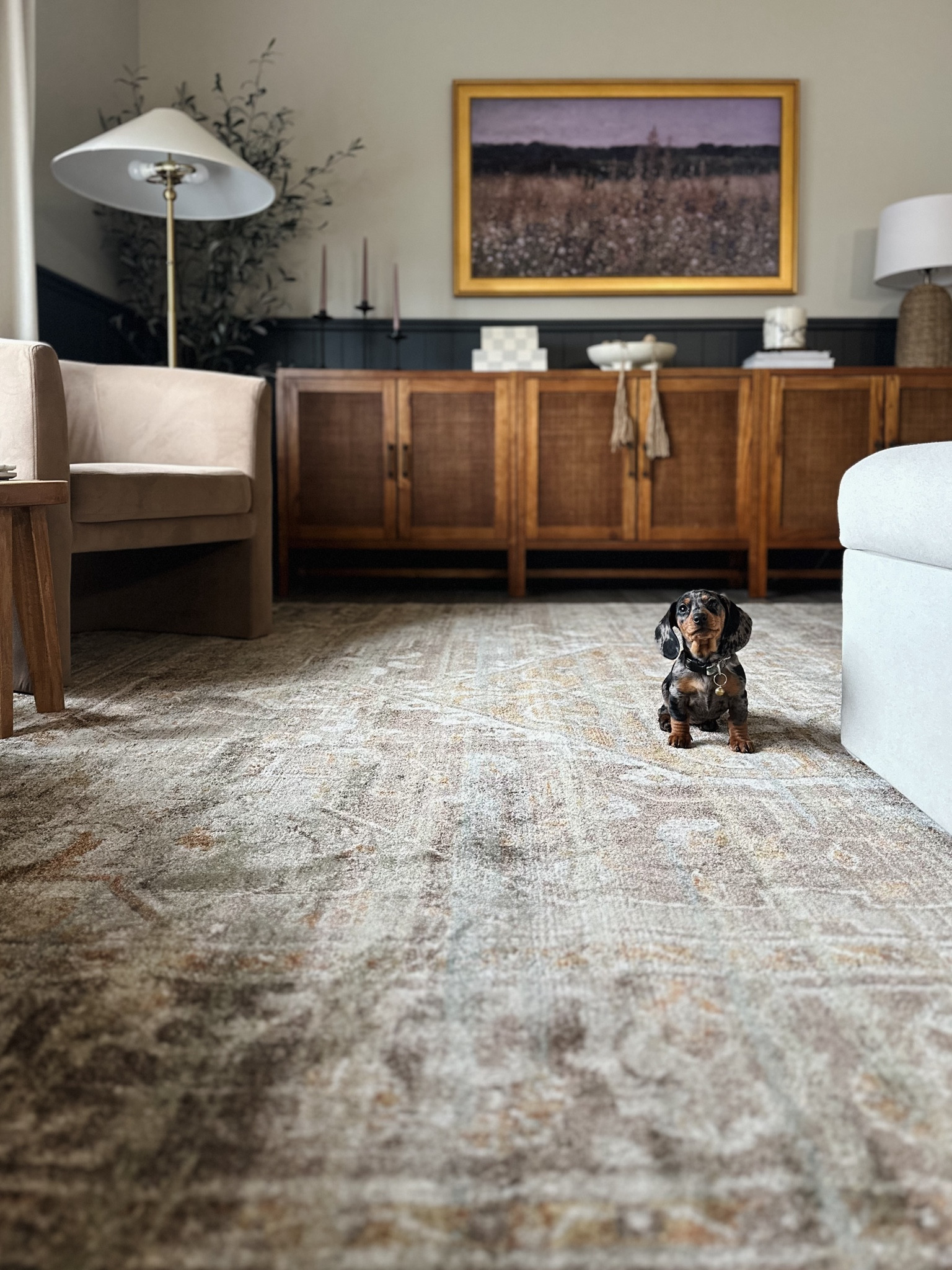 The Mona Collection by Magnolia Home by Joanna Gaines x Loloi! 

Navy living room, navy shiplap, magnolia, Joanna Gaines, velvet barrel chair, walnut media console, target Warwick 2 door cabinet, brass lamp, neutral rug studio McGee side table, target decor, studio McGee decor, neutral living room. 

#LTKstyletip #LTKhome