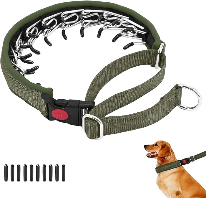 Martingale No Pull Dog Collar for Large Medium Small Dogs, Heavy Duty Nylon Reflective Adjustable... | Amazon (US)