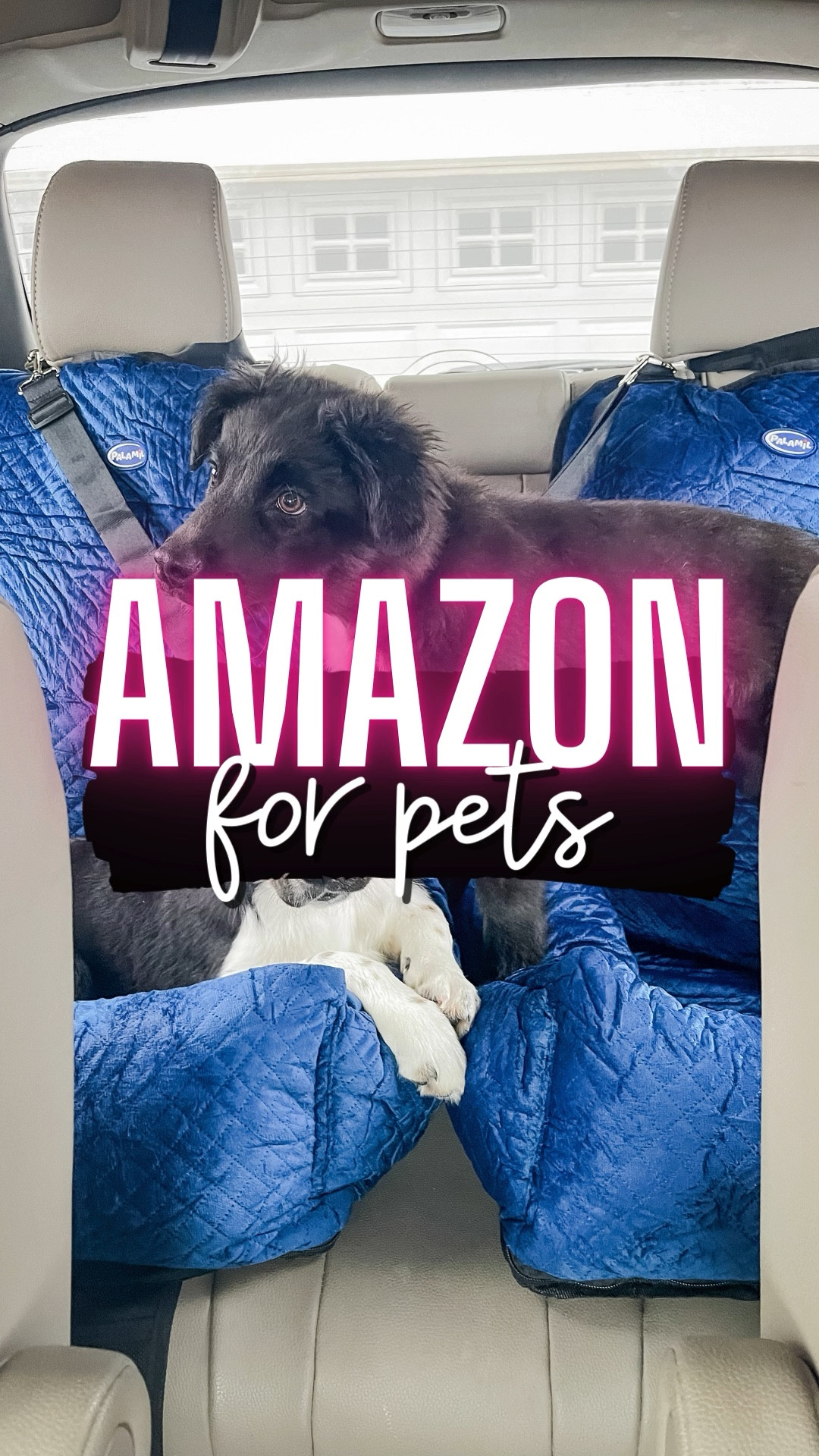 puppy | puppy gram | dog | pet supplies | dog life | dog toys | dog treats | dog bowl | dog bed | australian shepherd

** make sure to click FOLLOW ⬆️⬆️⬆️ so you never miss a post ❤️❤️

📱➡️ simplylauradee.com

#LTKtravel #LTKhome #LTKfamily