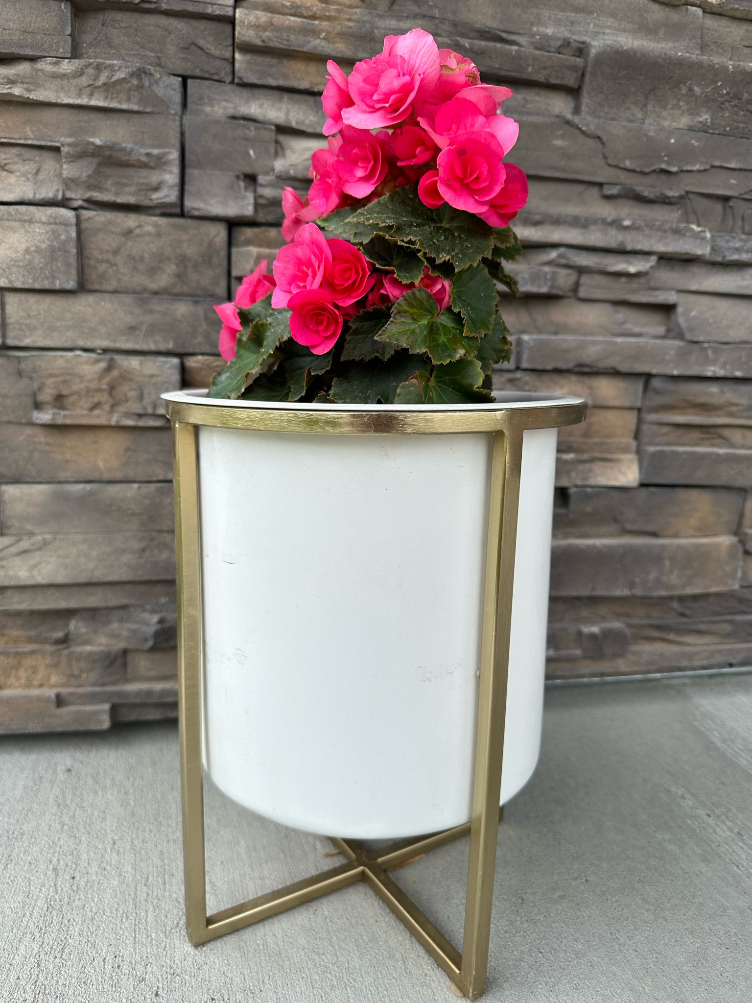 Iron planter with stand

#LTKFind #LTKSeasonal #LTKhome