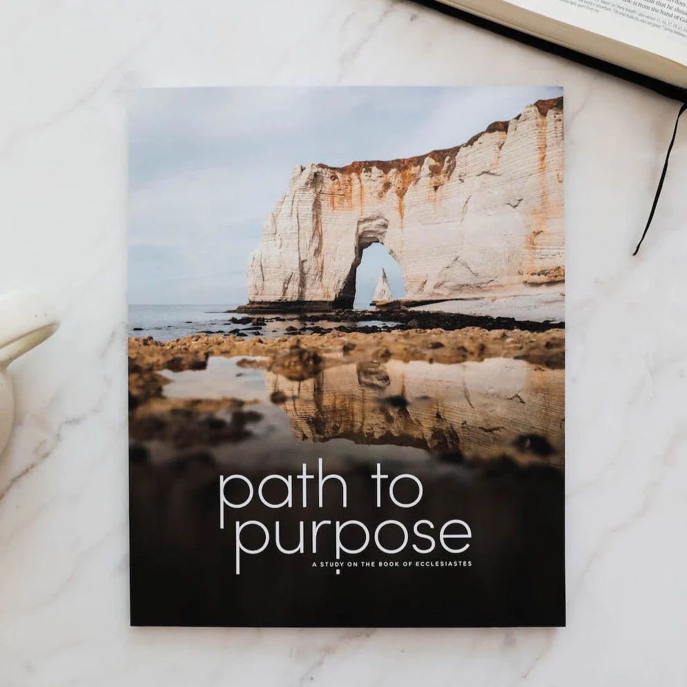 Path to Purpose | A Study on the Book of Ecclesiastes - Men | The Daily Grace Co.