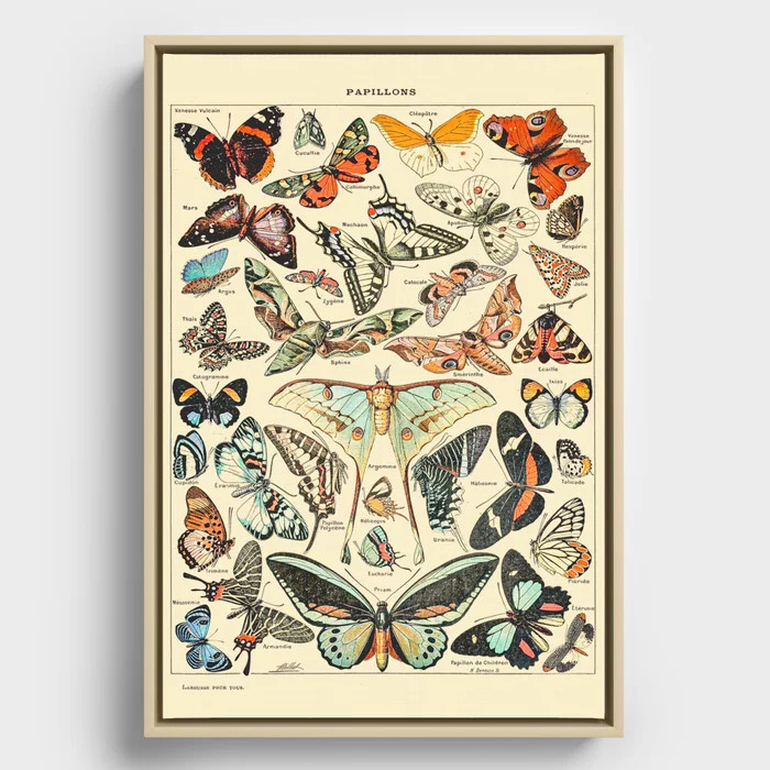 Cottagecore Decor, Famous Paintings, Retro Art, Unique Vintage Poster, Moth Design - Butterfly Ca... | Society6