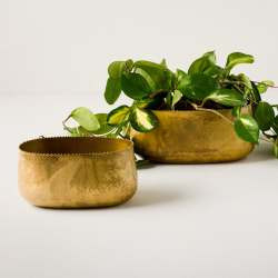 Oval Brass Planter | Magnolia