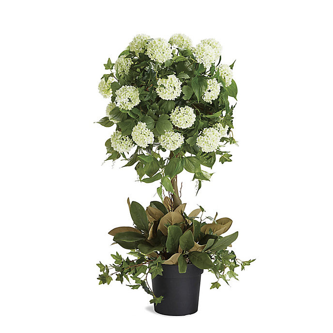 Snowball Hydrangea Topiary | Frontgate
