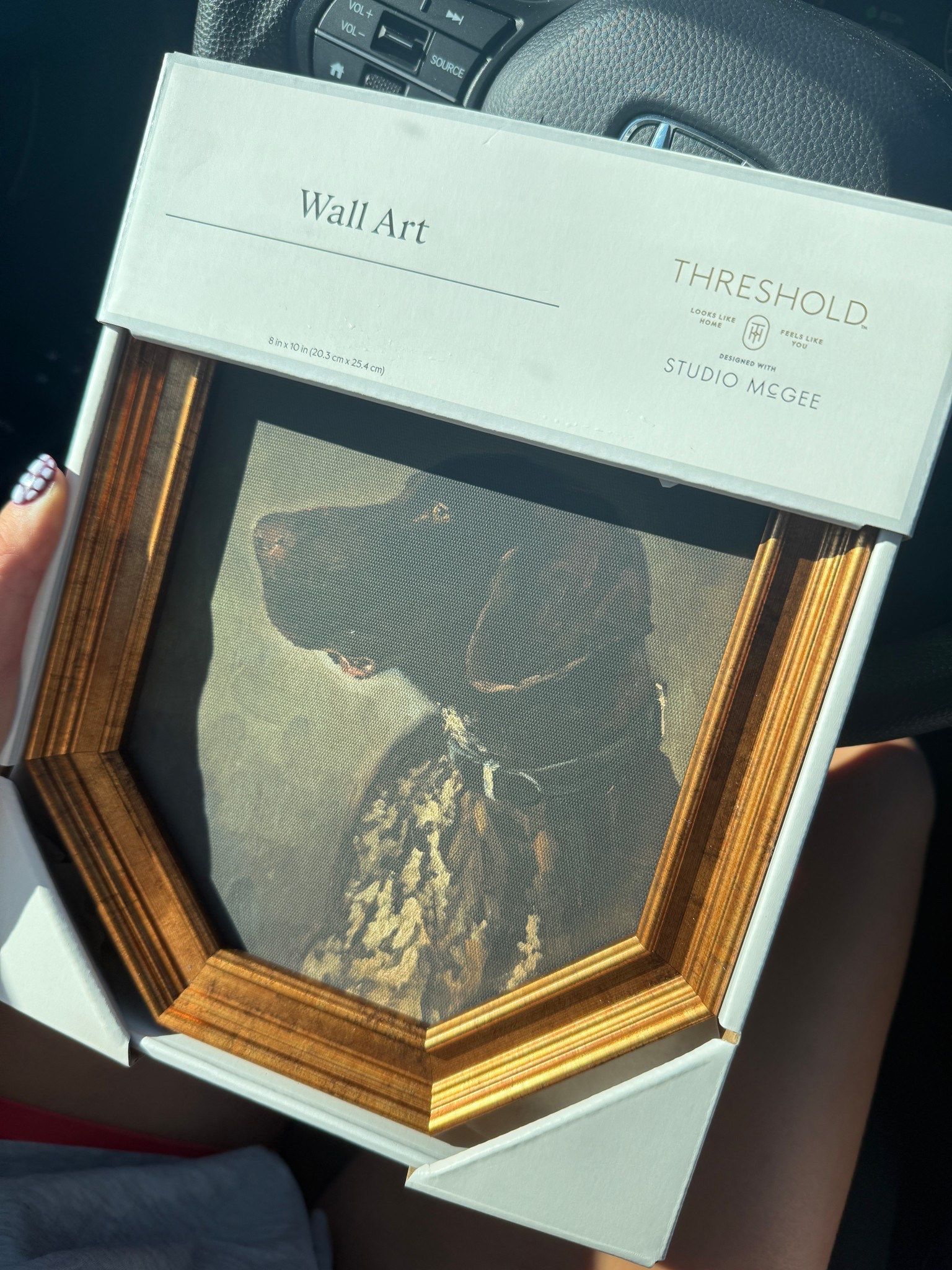 #LTKPets #LTKHome #LTKFindsUnder50