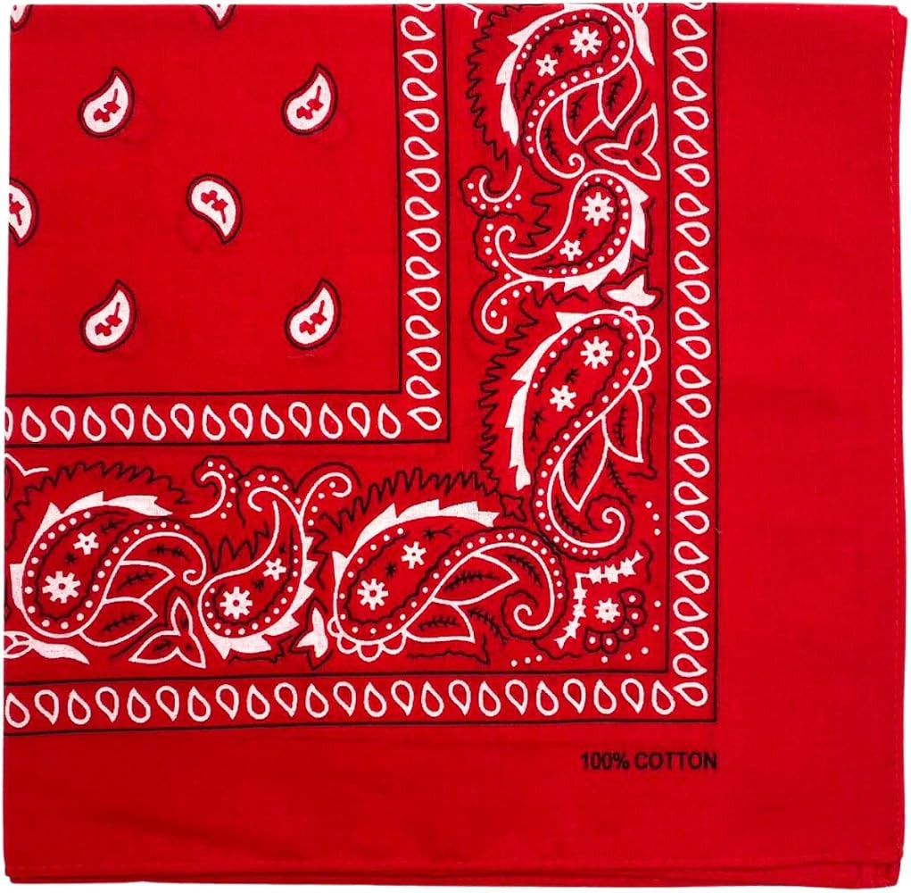 MDSTYLE 100% Cotton Bandana for Men & Women 22" x 22" Paisley Pattern Handkerchief Headband Scarf | Amazon (US)