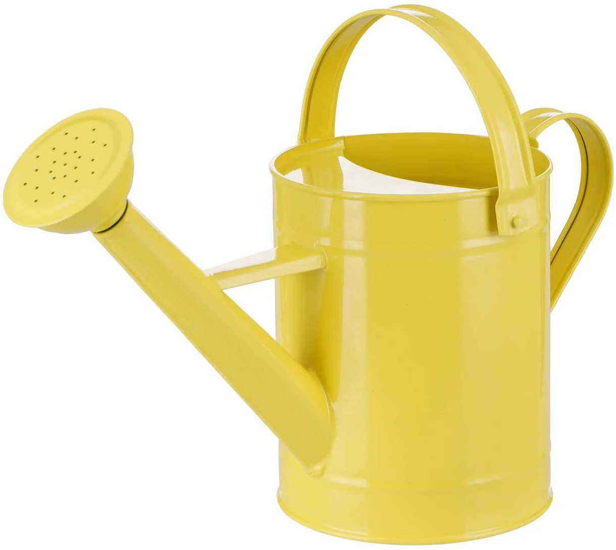 Watering Can Metal Watering Pot with Handle and Rosehead Modern Style, 11.4”W x 4.72”D x 8.66... | Walmart (US)