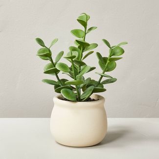 7" Mini Faux Succulent Plant - Hearth & Hand™ with Magnolia | Target