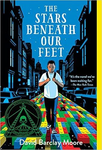 The Stars Beneath Our Feet    Paperback – January 8, 2019 | Amazon (US)