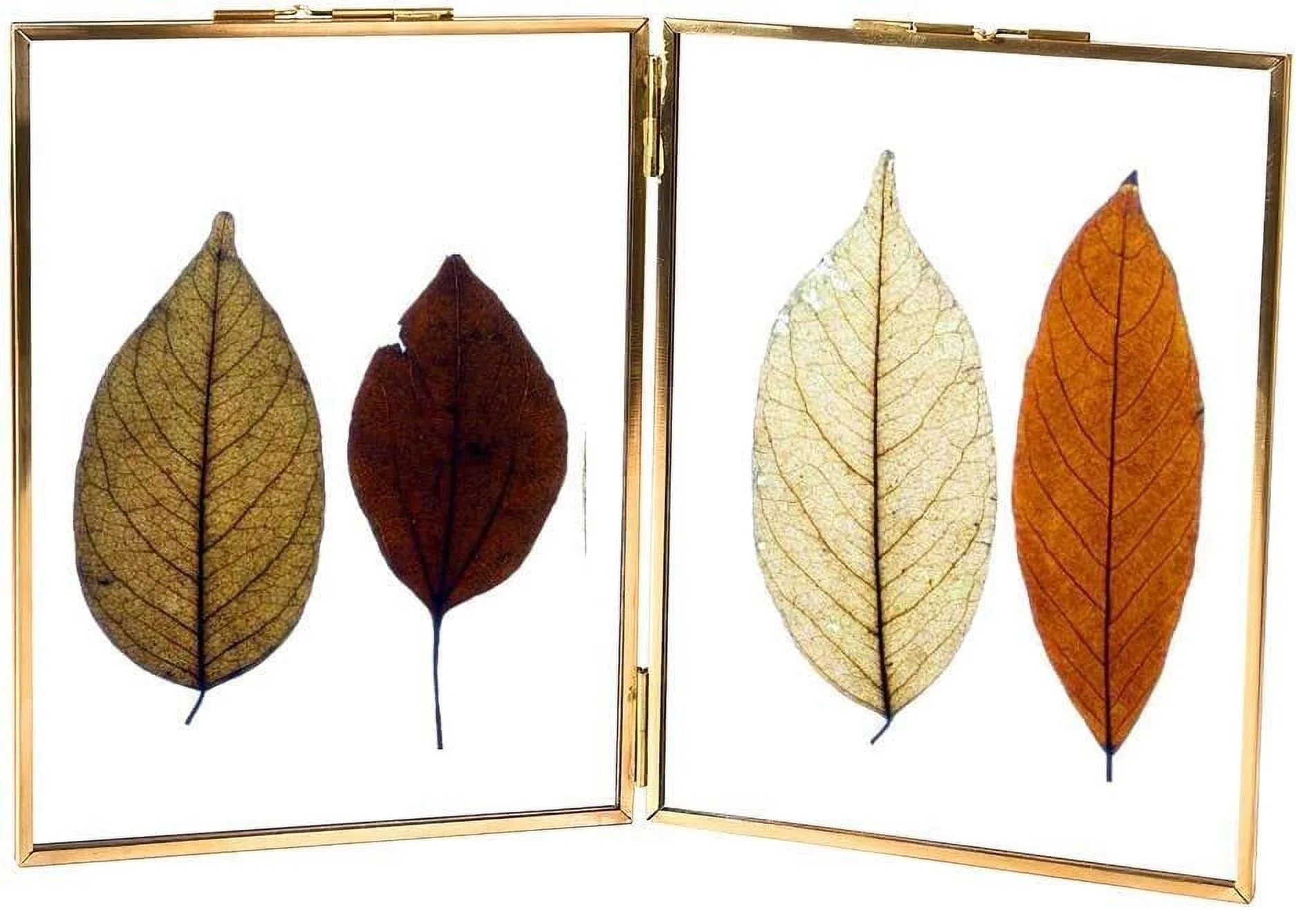 Longwin Folding Floating 5 in x 7 in Gold Picture Frames | Walmart (US)