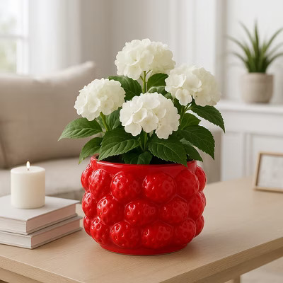 Cheerful Planter Pot Perfect for Indoor or Outdoor Herbs, Ferns, or Succulents - Modern Pot for Indoor - Great for Garden and Patio Decor - 5" Red | Target