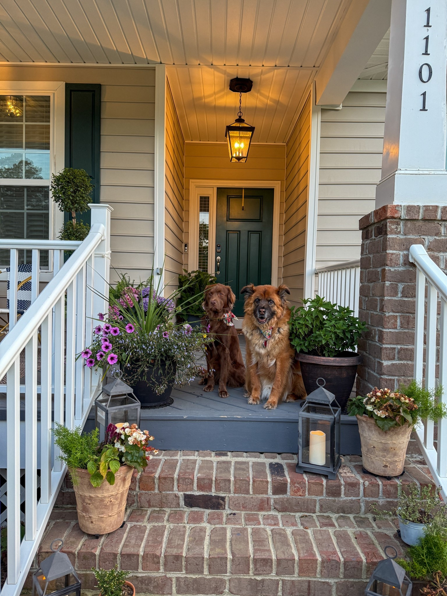 This year’s front porch set up!

#LTKHome #LTKStyleTip #LTKSeasonal