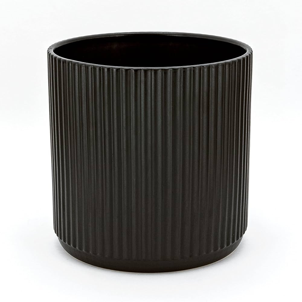 Amazon Basics Fluted Ceramic Round Planter, 10-Inch, Black | Amazon (US)