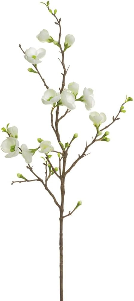 Classic Touch Decorium 35" Quince Blossom Stem (2 Colors) (Cream) Allstate | Amazon (US)