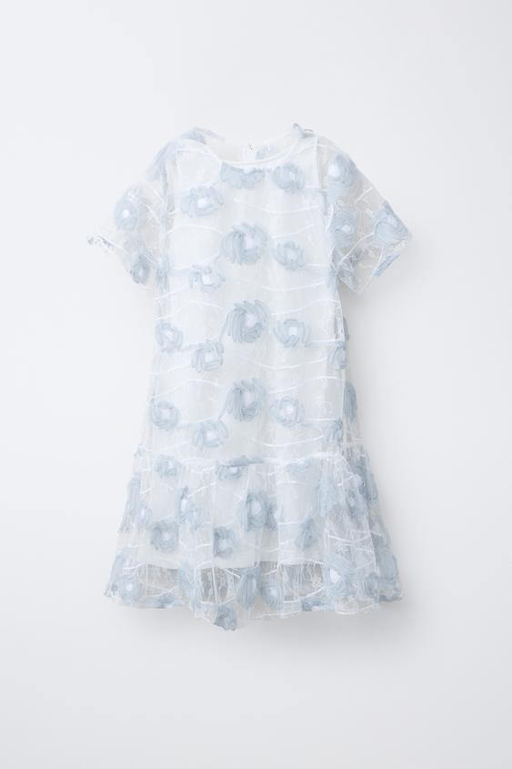 EMBROIDERED TULLE DRESS | Zara US