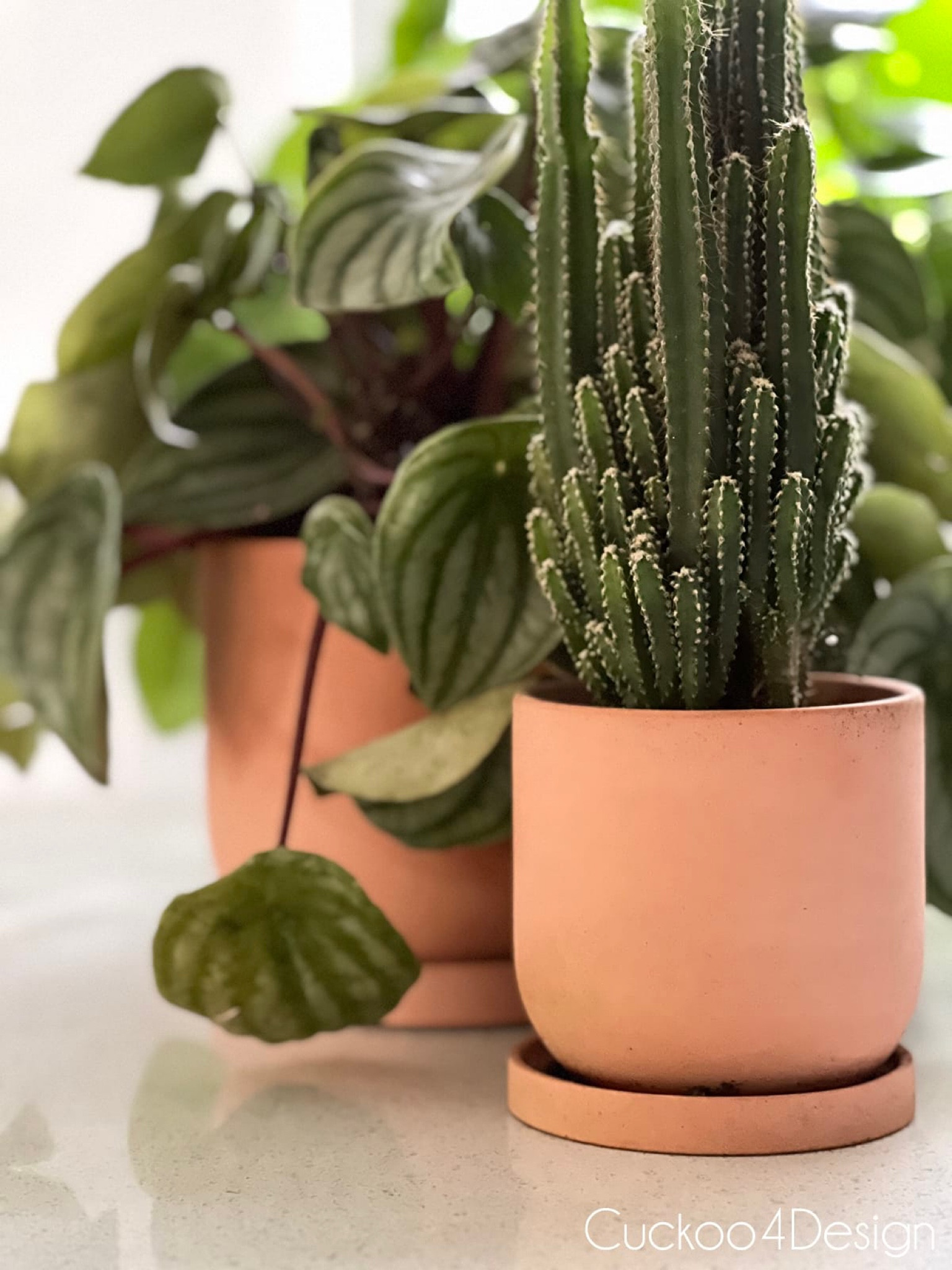All my favorite terracotta pots for your home and gardenn

#LTKstyletip #LTKSeasonal #LTKhome